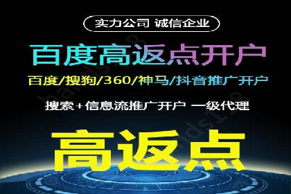 某公司通过竞价SEM优化搜索引擎排名案例